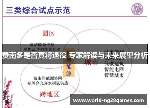 费南多是否真将退役 专家解读与未来展望分析 费南多是否真将退役 专家解读与未来展望分析