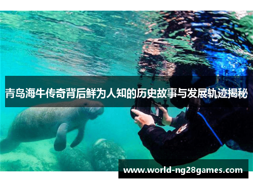 青岛海牛传奇背后鲜为人知的历史故事与发展轨迹揭秘