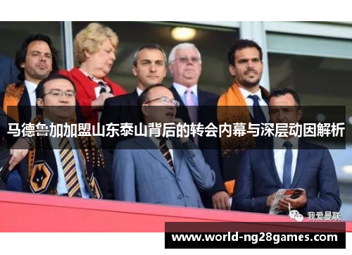 马德鲁加加盟山东泰山背后的转会内幕与深层动因解析 马德鲁加加盟山东泰山背后的转会内幕与深层动因解析