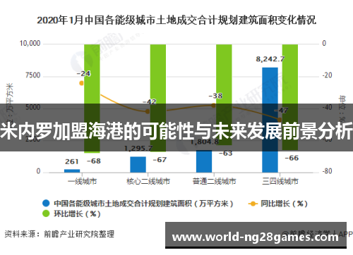 米内罗加盟海港的可能性与未来发展前景分析