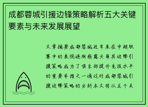 成都蓉城引援边锋策略解析五大关键要素与未来发展展望