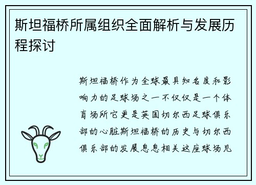 斯坦福桥所属组织全面解析与发展历程探讨